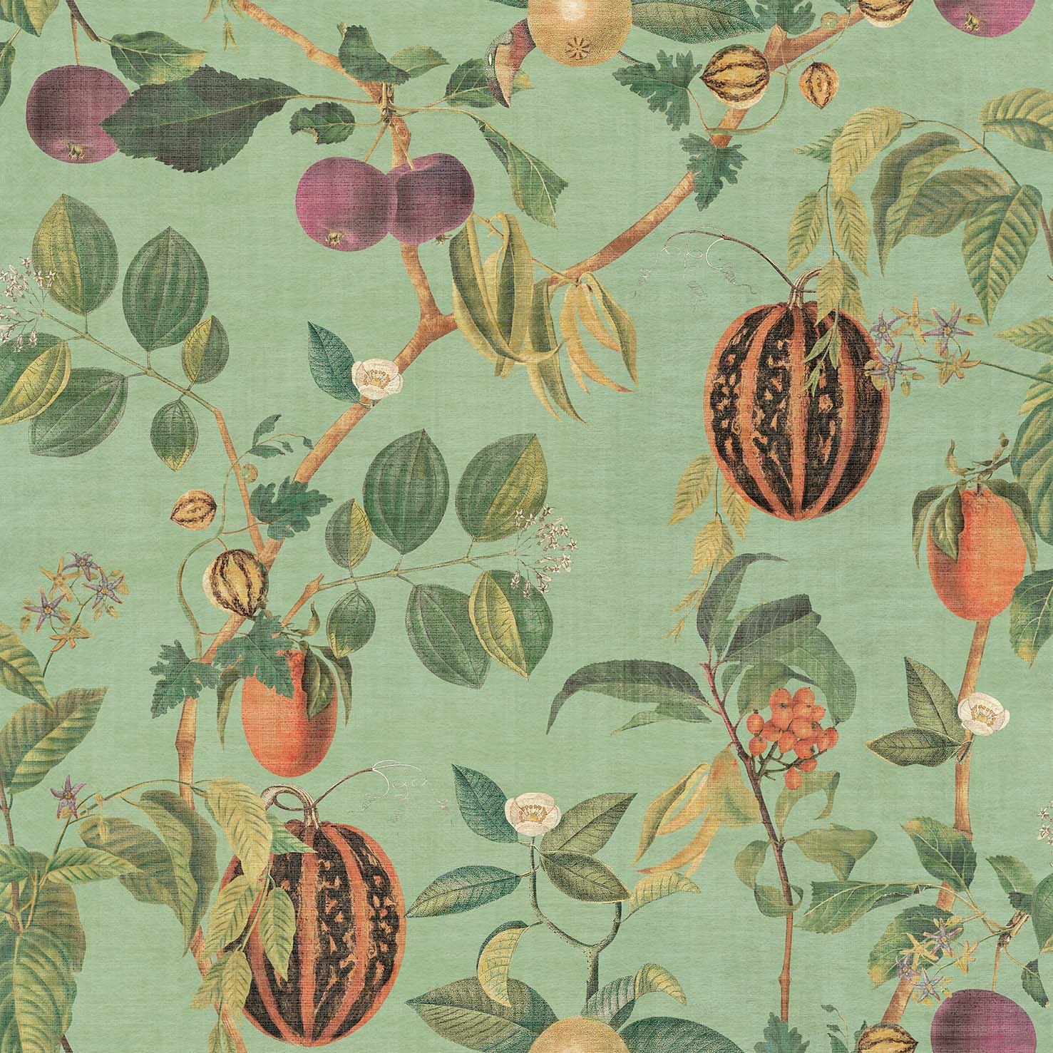 Esselle Home Tropic House Sage Wallpaper