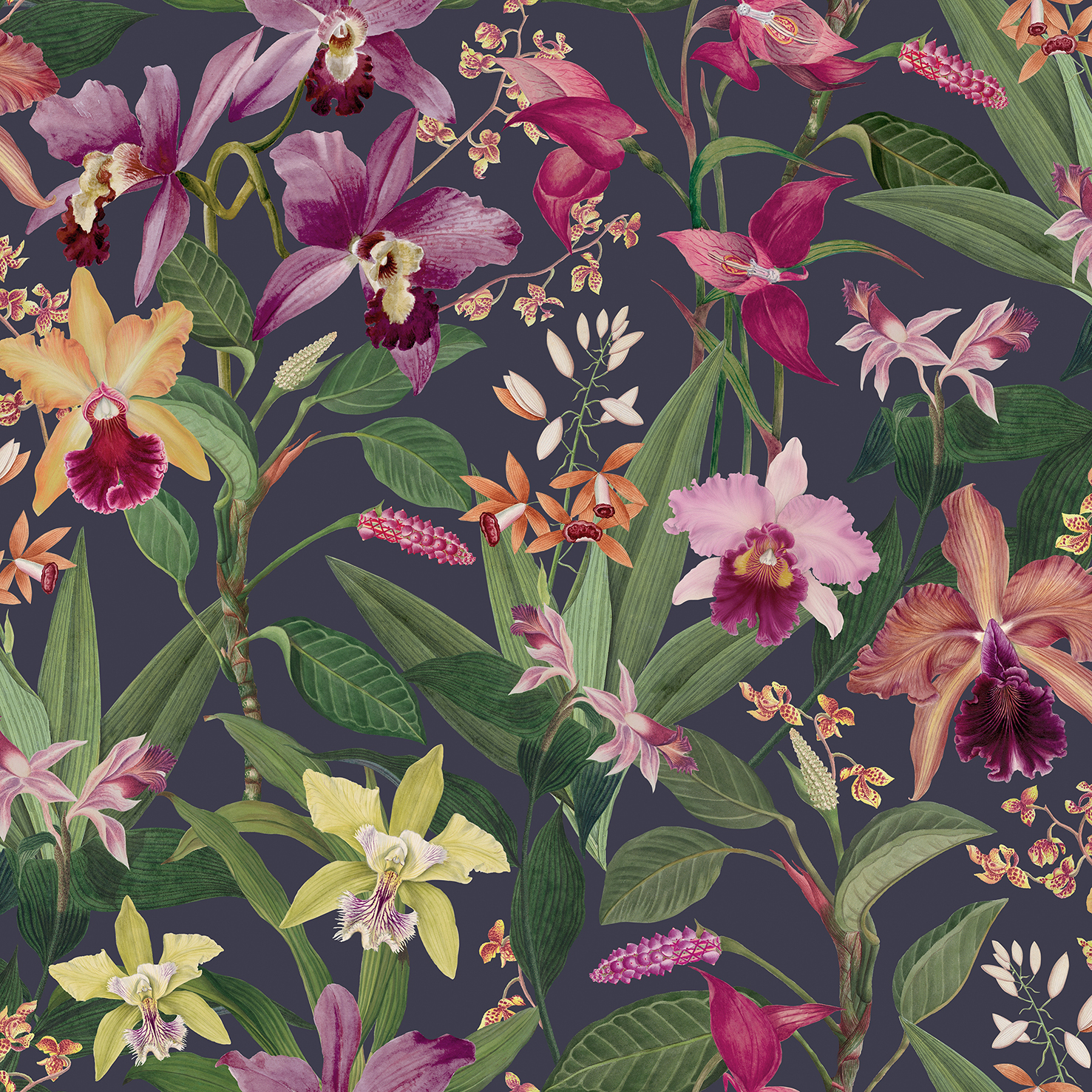 RHS Orchid Botanical Purple Wallpaper