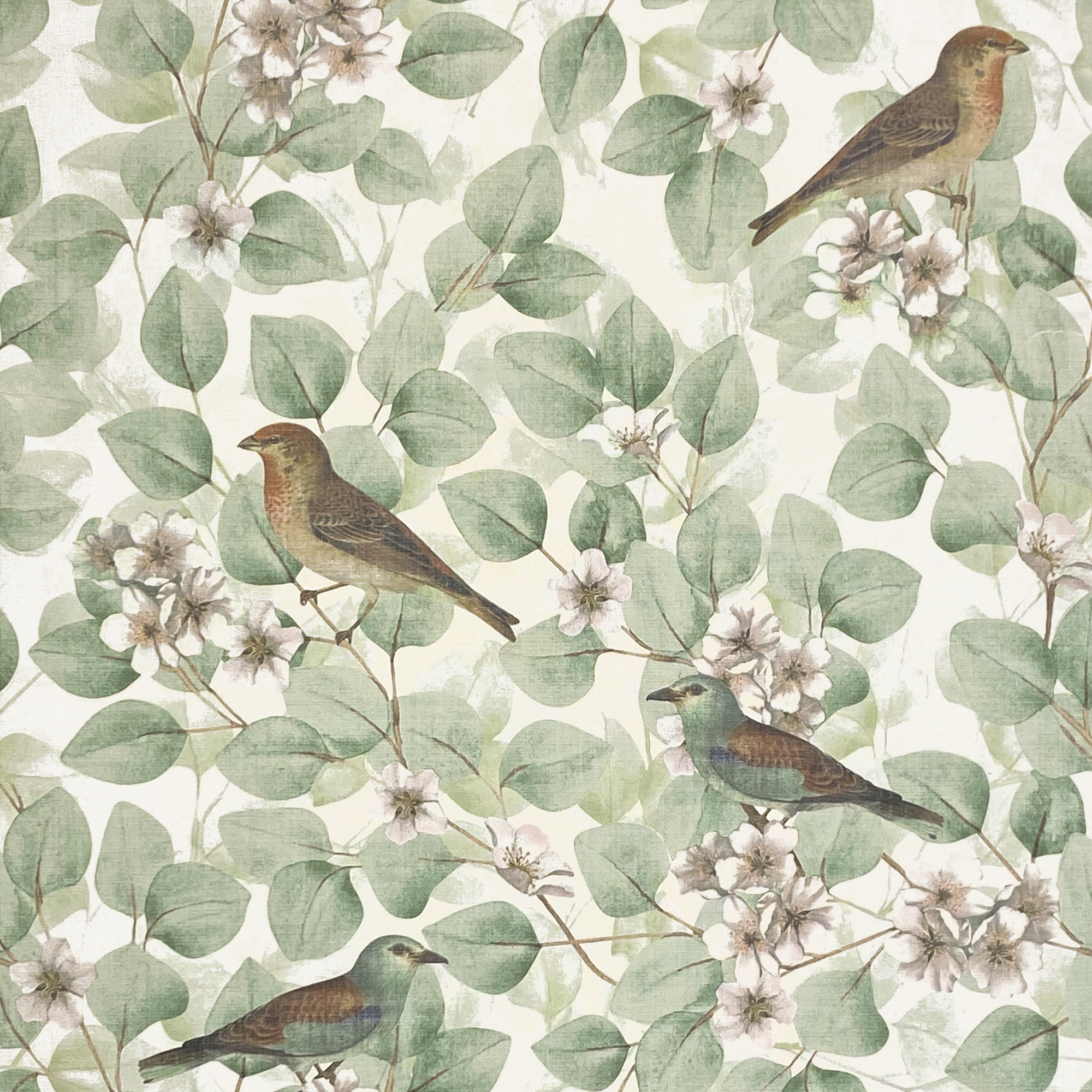 Arthouse Birds & Blossoms Green Wallpaper - 10.05m x 53cm