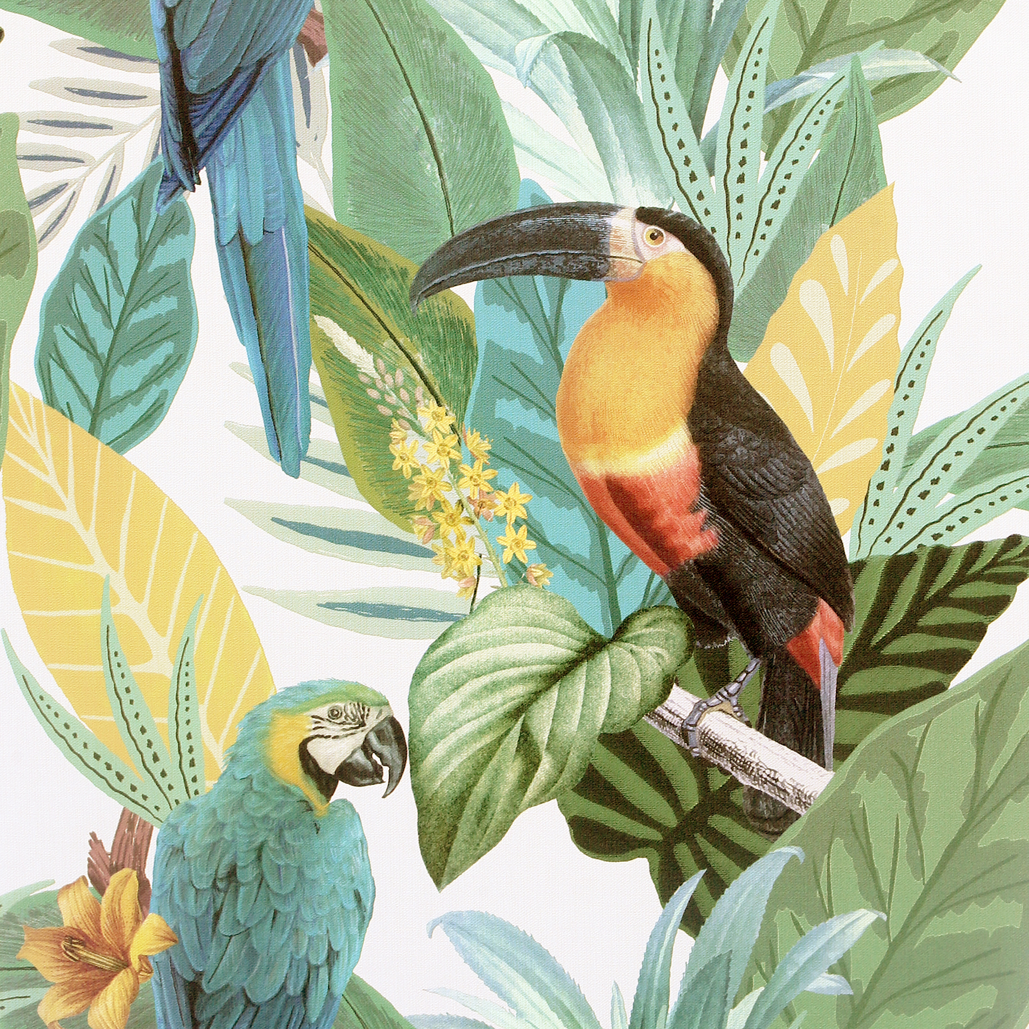 Arthouse Toucan Jungle Multi Wallpaper - 10.05m x 53cm