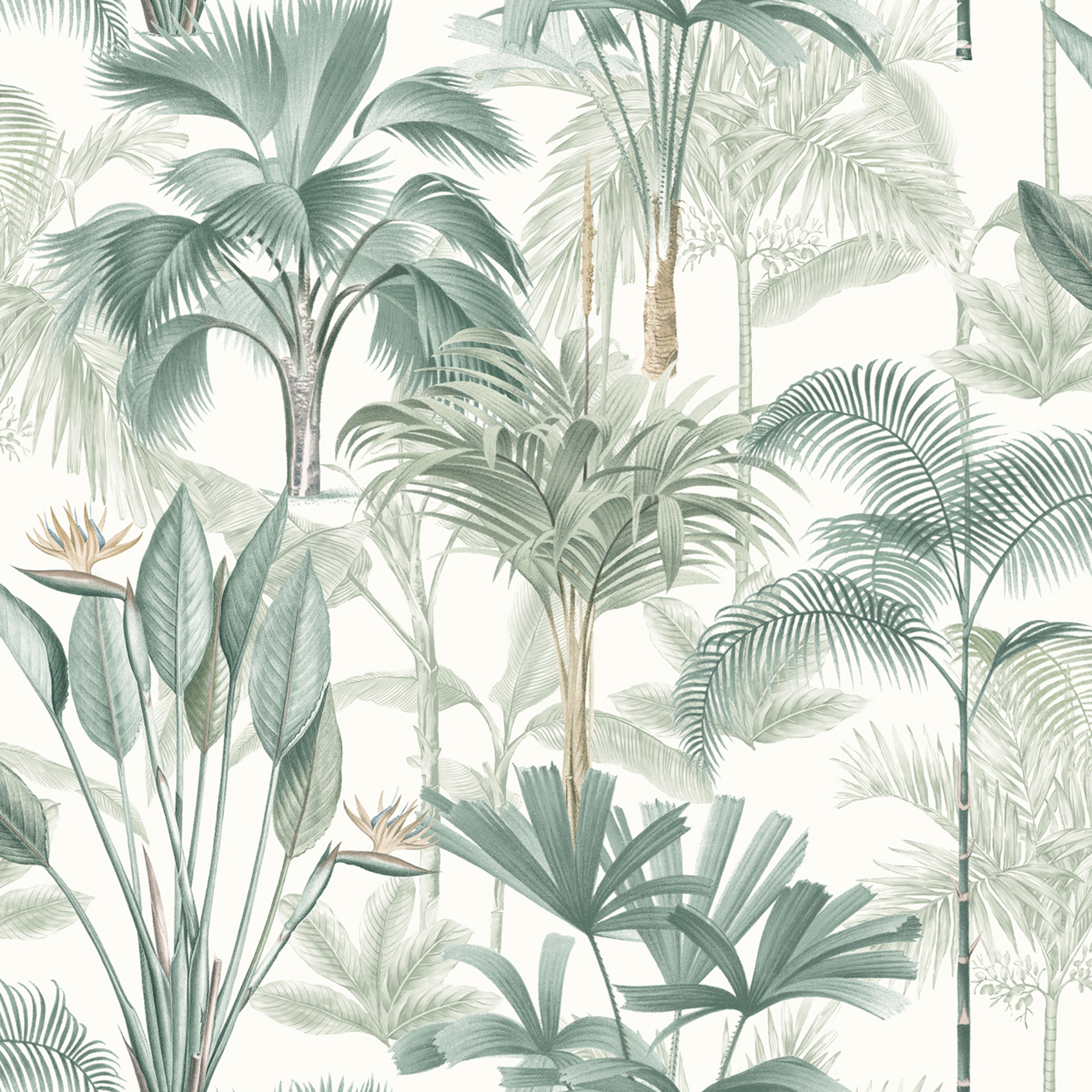 Arthouse King Palm Green Wallpaper - 10.05m x 53cm
