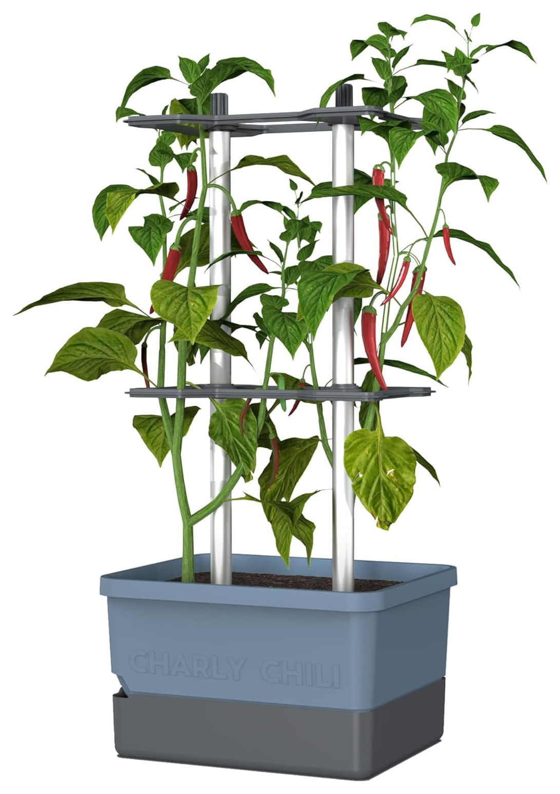 Charly Chili Pot with Water Tank & Climbing System - Regular Blue