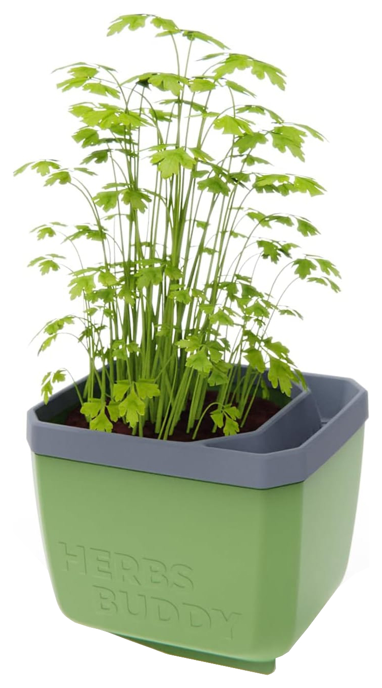 Herbs Buddy Herb Pot with Water Reservoir - Dark Green