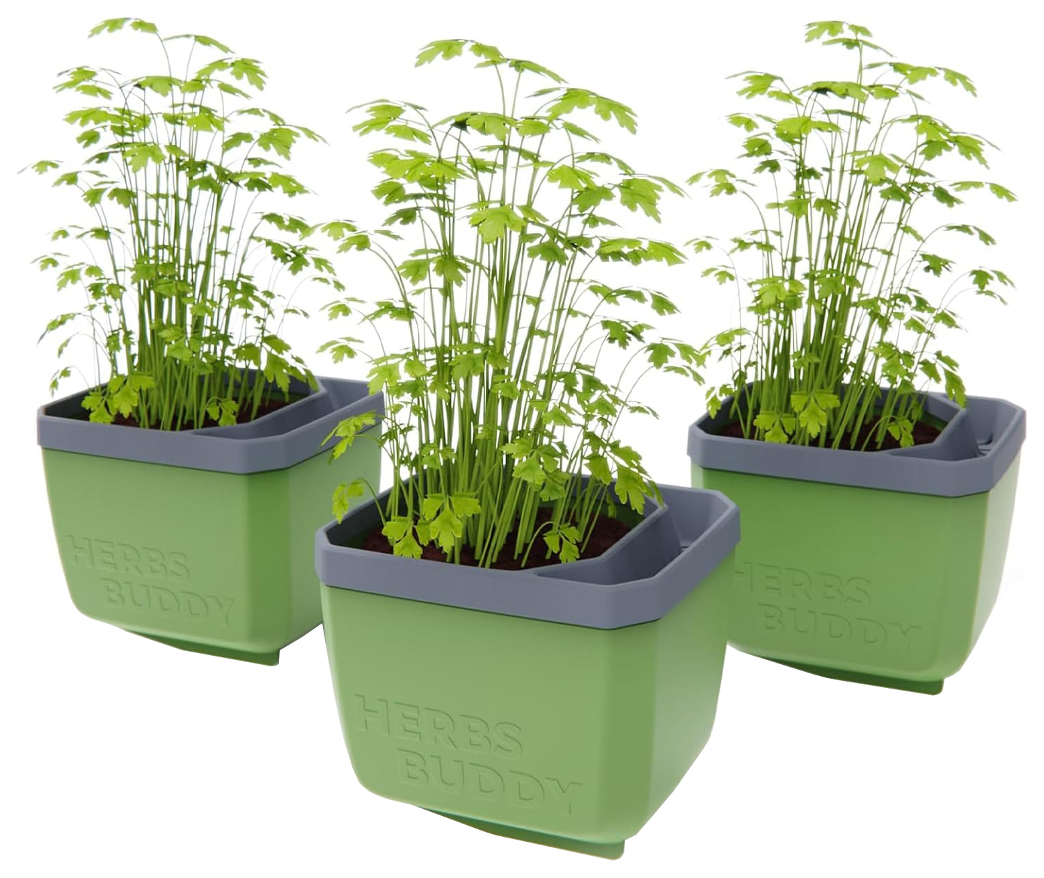 Herbs Buddy Herb Pot with Water Reservoir - Dark Green 3 Pack