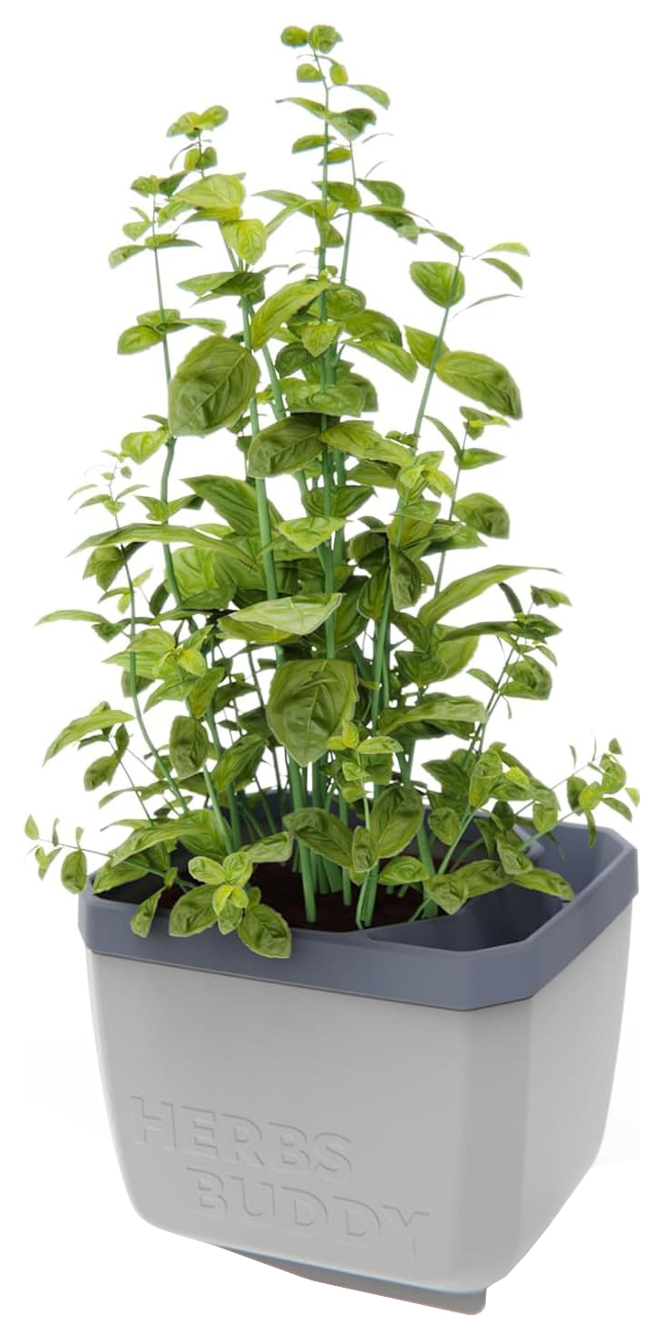 Herbs Buddy Herb Pot with Water Reservoir - Light Grey