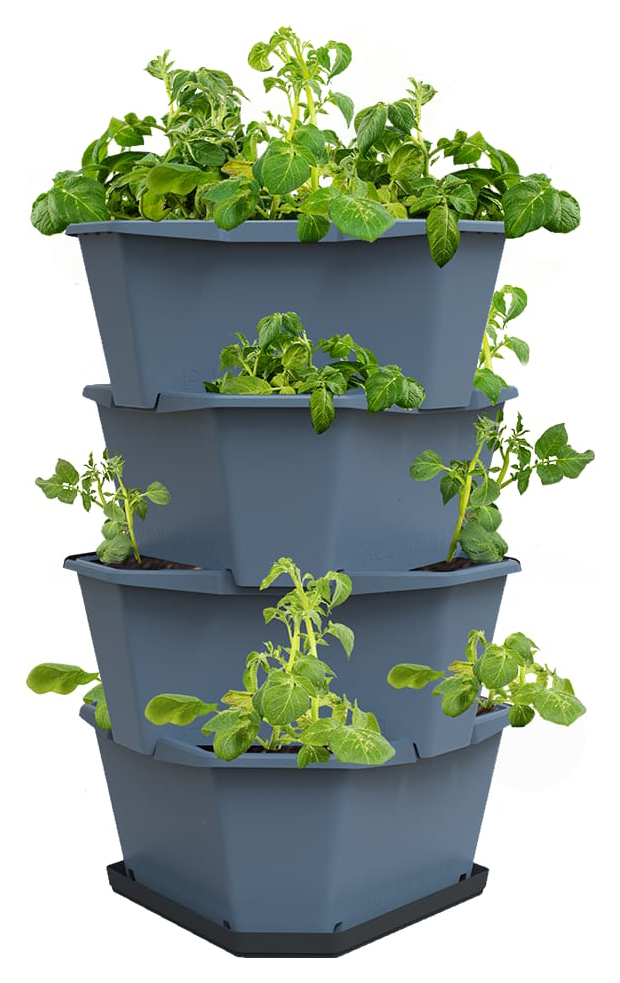 Paul Potato 4 Level Potato Growing Tower for Balcony / Terrace / Patio - Blue