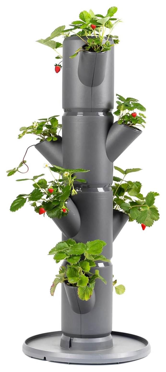 Sissi Strawberry 4 Level Easy-Watering Strawberry Tree for Balcony / Terrace / Patio - Anthracite