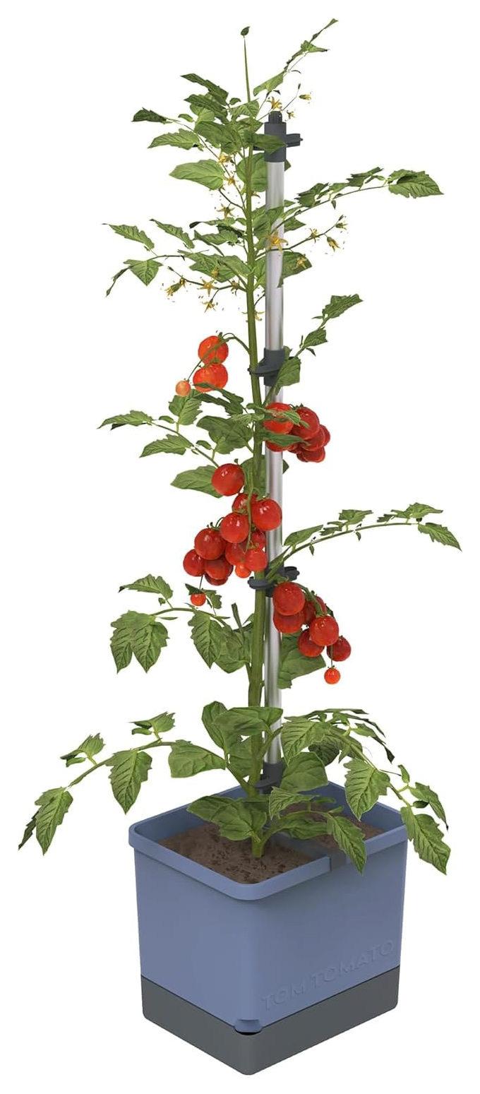 Tom Tomato Tomato Pot with Water Tank - Blue