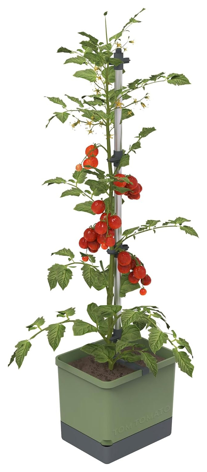Tom Tomato Tomato Pot with Water Tank - Dark Green