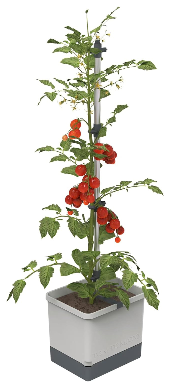 Tom Tomato Tomato Pot with Water Tank - Light Grey