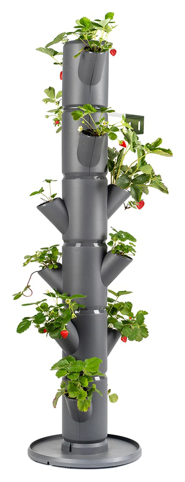Sissi Strawberry 6 Level Easy-Watering Strawberry Tree for Balcony / Terrace / Patio - Anthracite