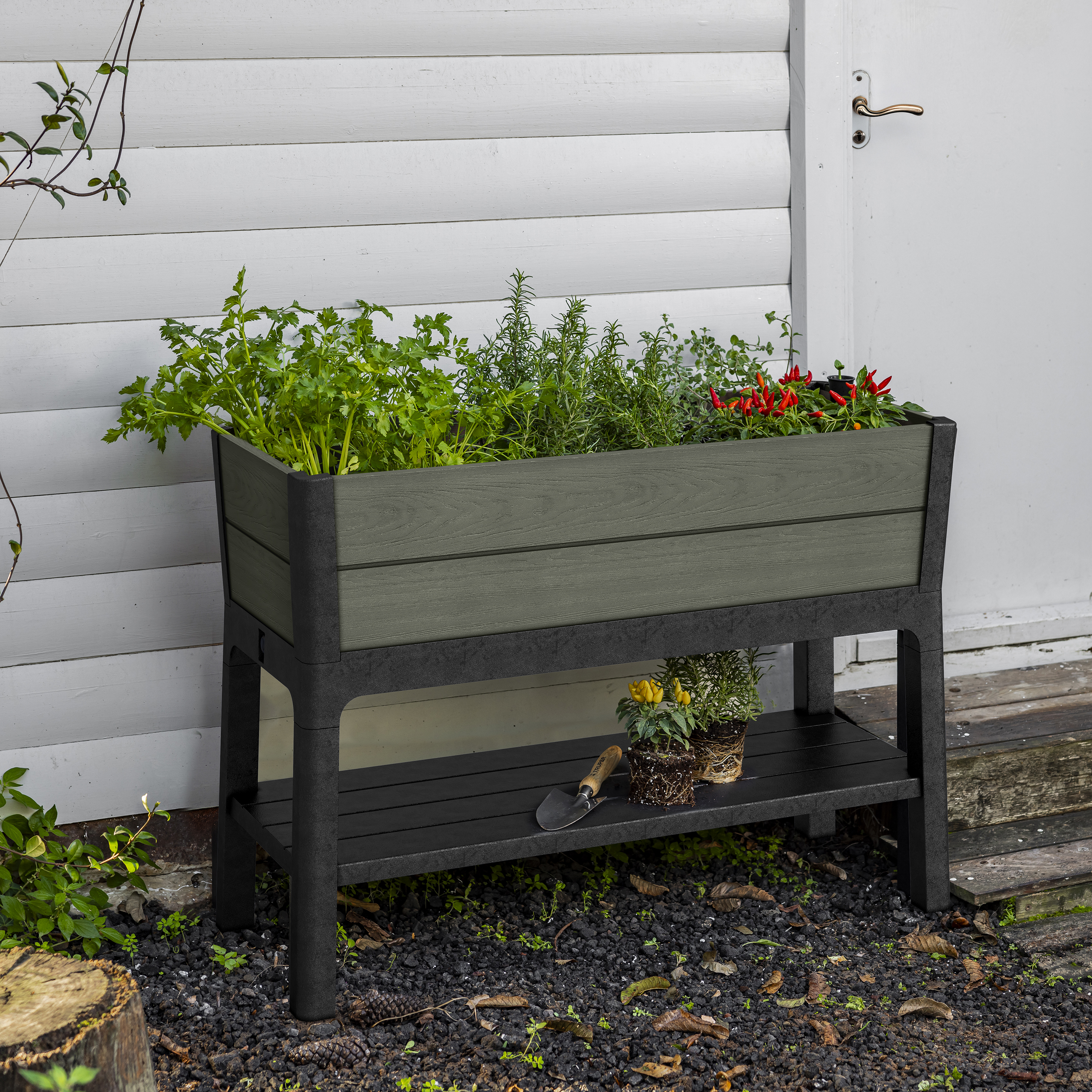 Keter Darwin Elevated Garden Bed - Green
