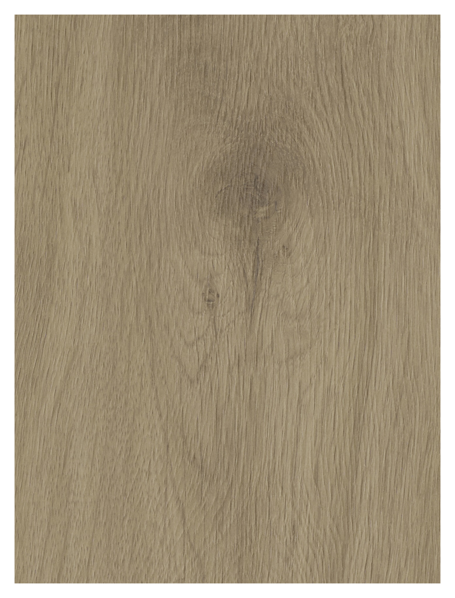 Buckingham Light Oak 10mm Moisture Resistant Laminate Flooring - Sample