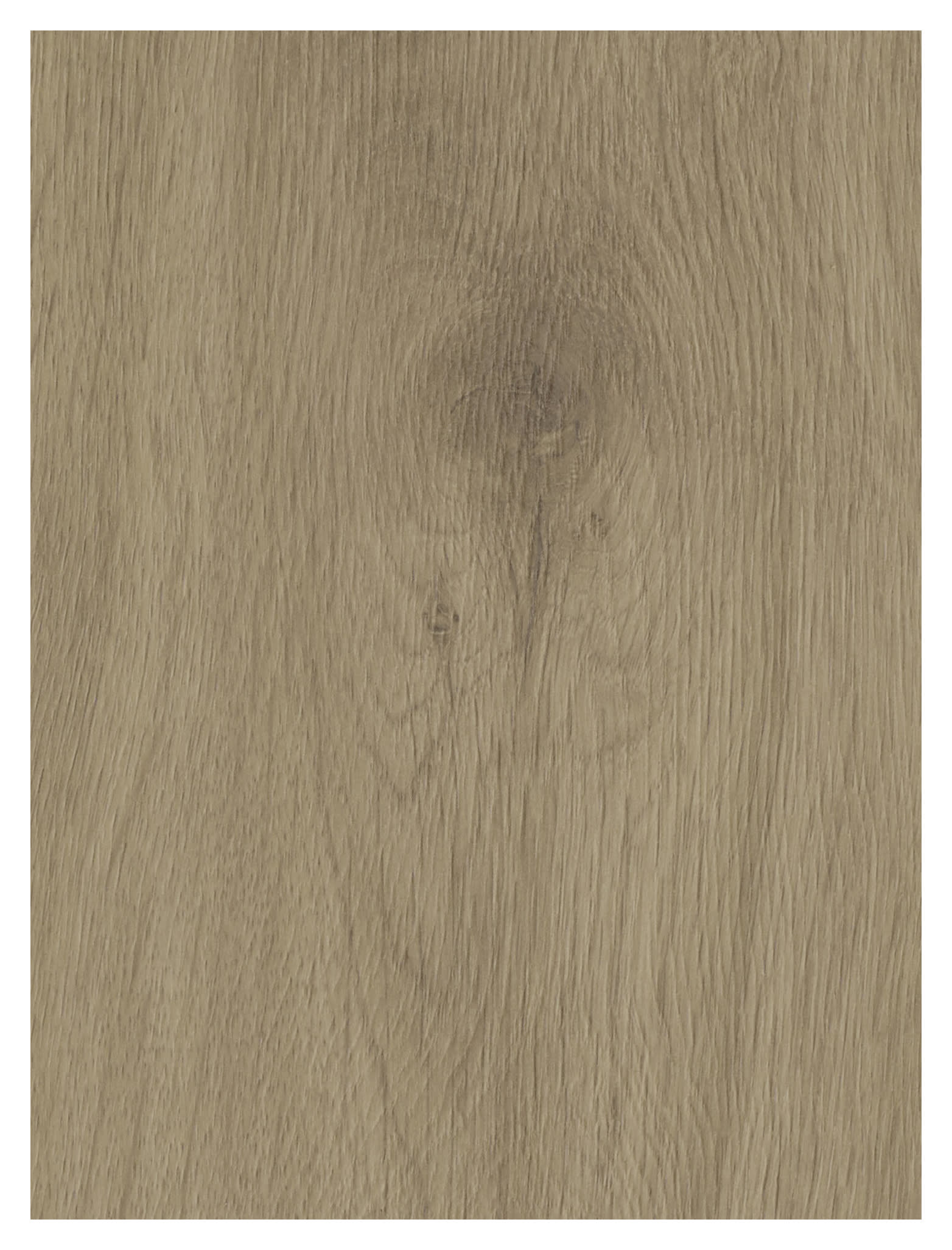 Buckingham Light Oak 10mm Moisture Resistant Laminate Flooring - Sample