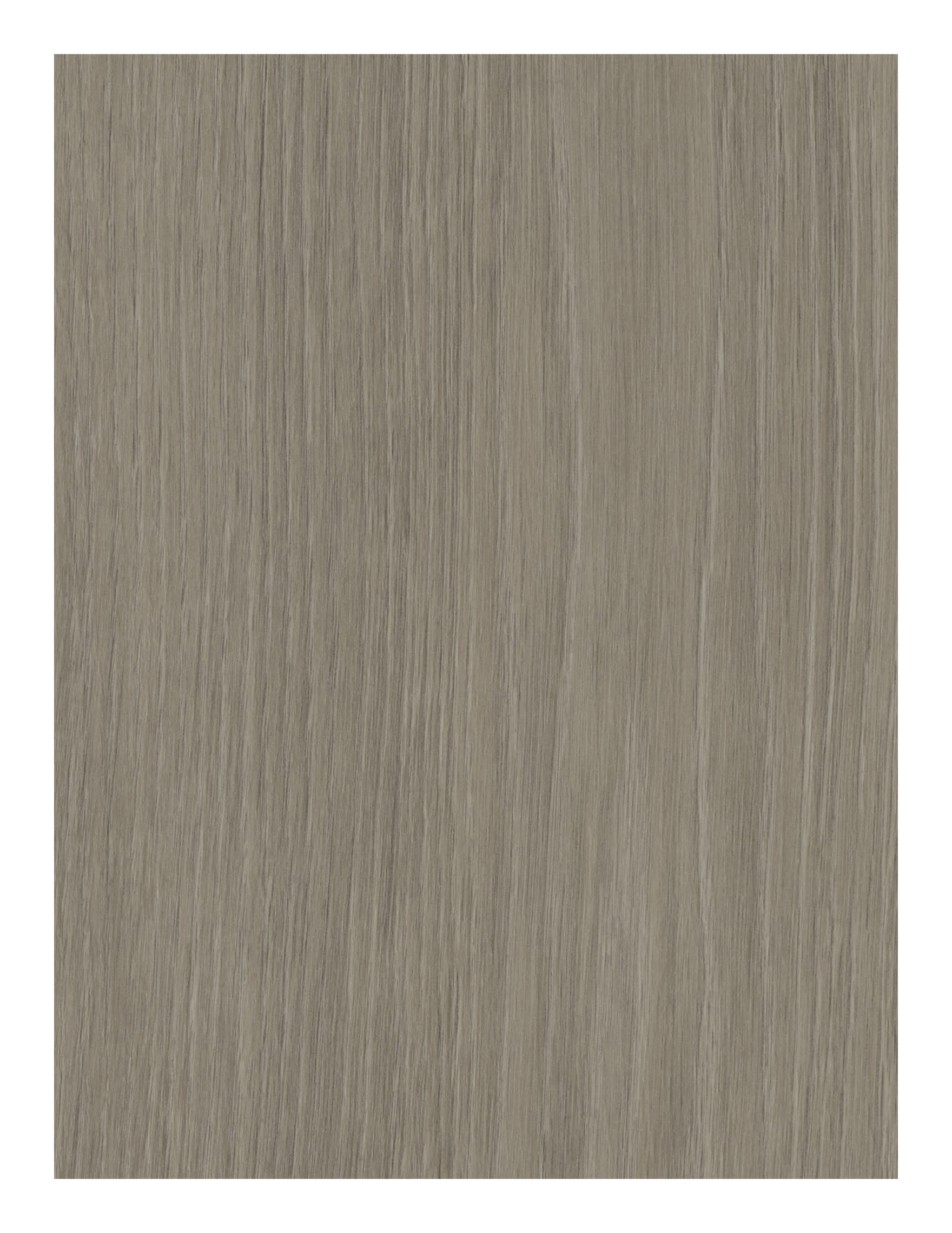 Greige Palais Grey Oak 8mm Moisture Resistant Laminate Flooring - Sample