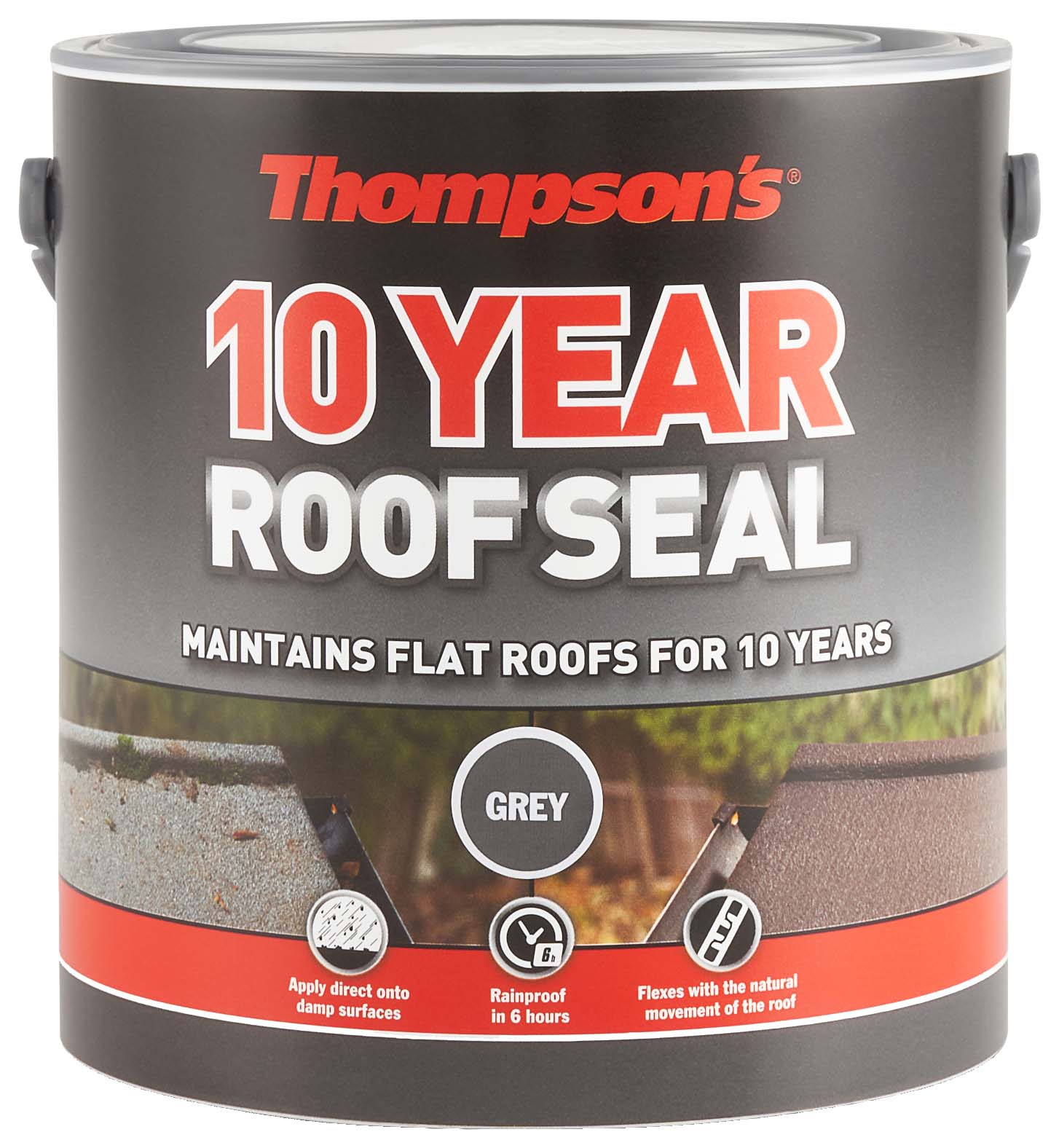 Thompson's Grey 10 Year Roof Seal - 2.5L