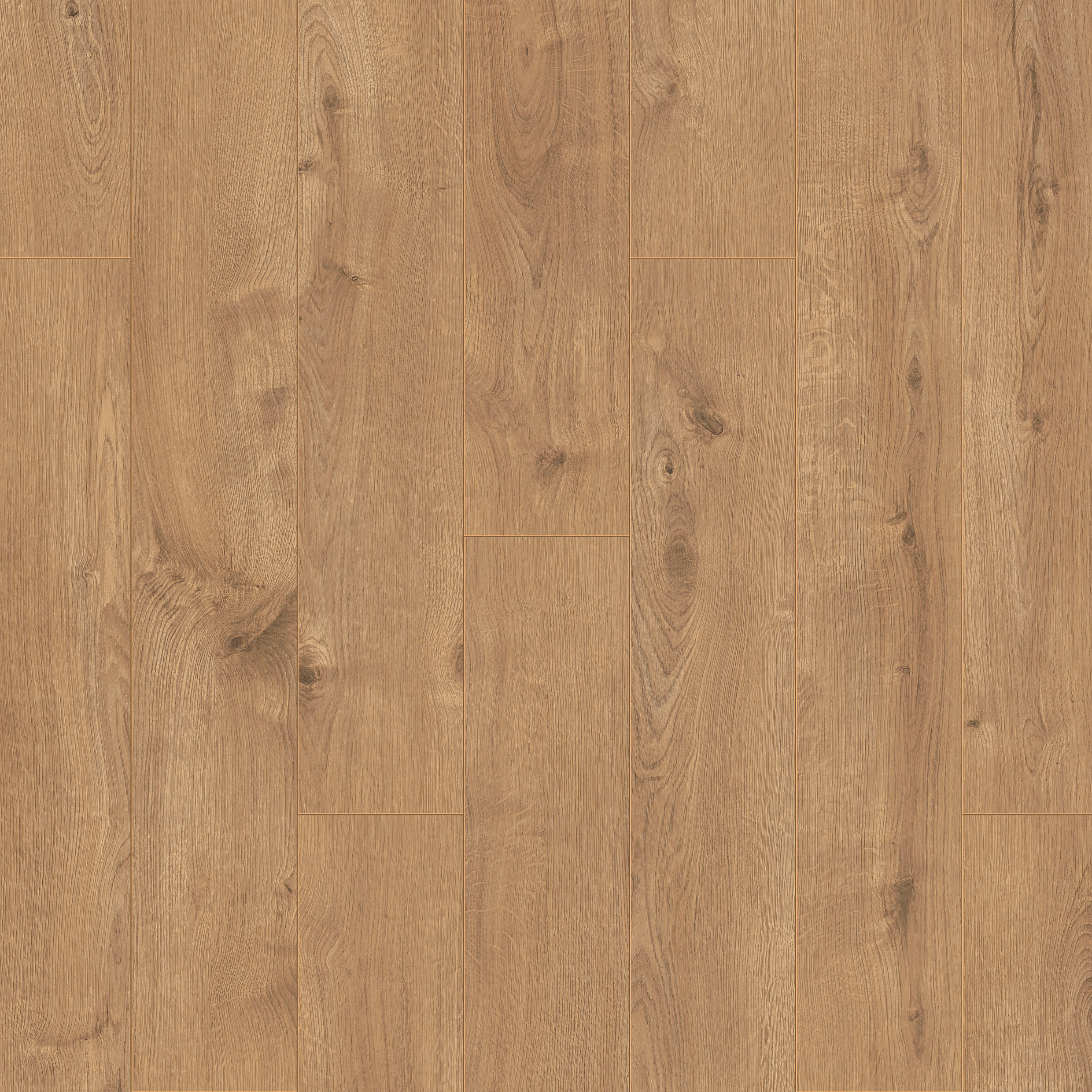 Image of Venezia Light Oak 12mm Laminate Flooring - 1.48m2