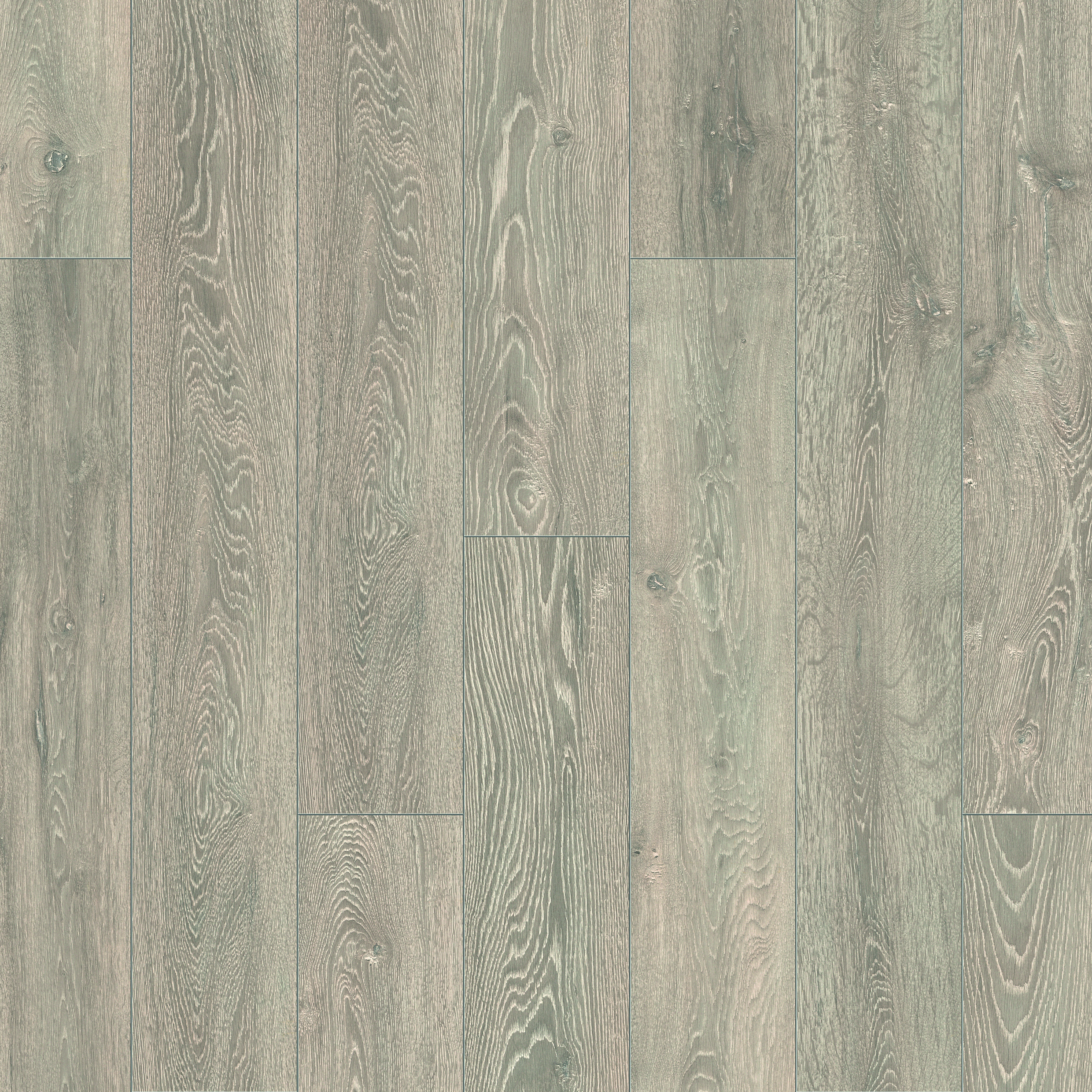 Image of Shimla Grey Oak 8mm Laminate Flooring - 2.22m2