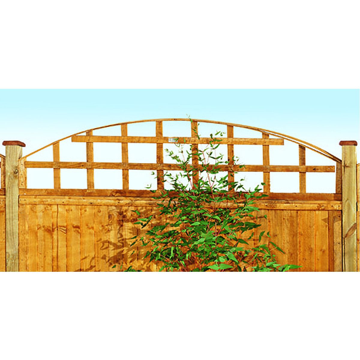 Image of Forest Garden Arch Top Trellis - 460 x 1830mm