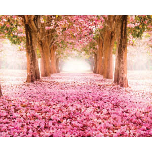 ohpopsi Pink Cherry Blossoms Wall Mural