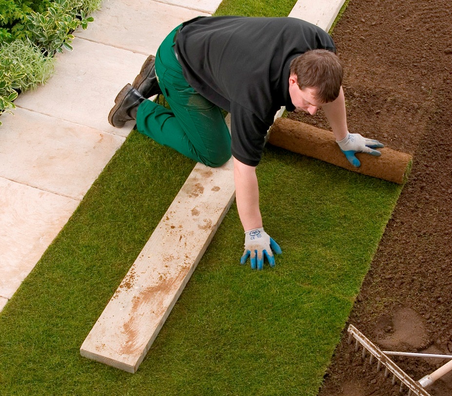 Turf & Artificial Grass