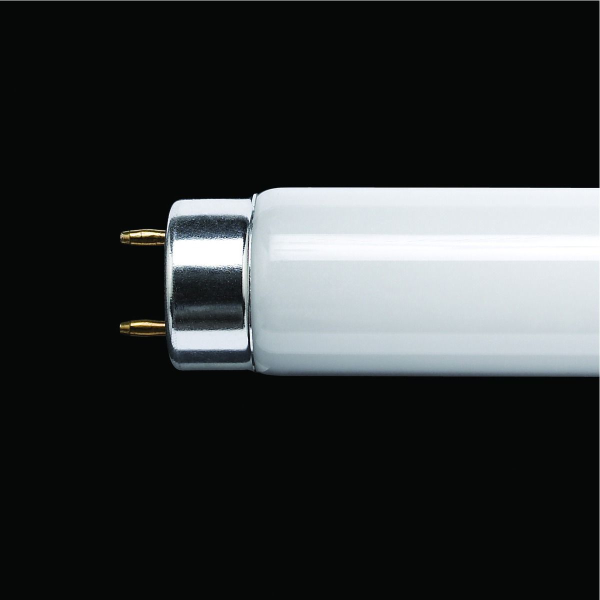 Fluorescent Tube